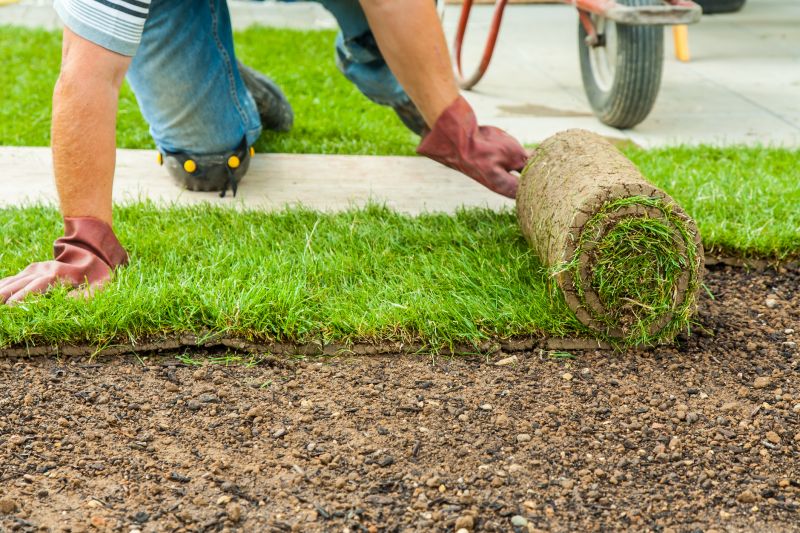 Contact About Lawn Resodding