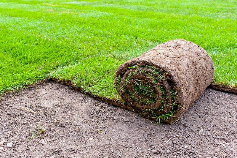 Bermuda Grass Installation in Aiken, SC