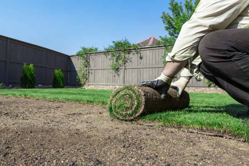Bluegrass Sod Installation in Rockwall, TX