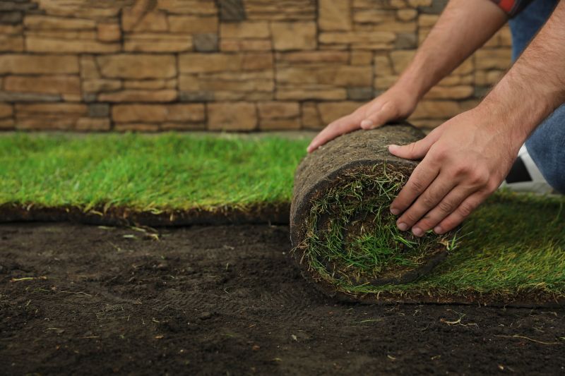 Fescue Sod Installation in Aiken, SC