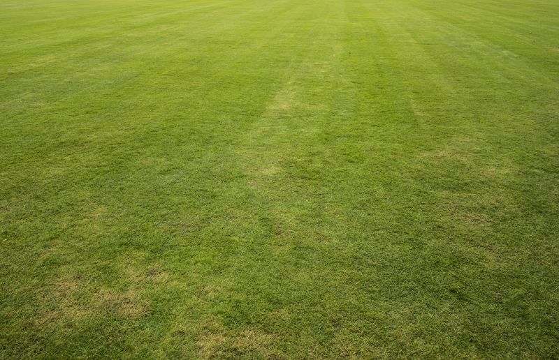 Lawn Resodding detail