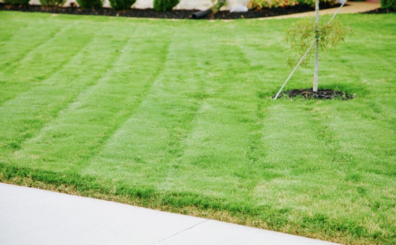 Lawn Installation