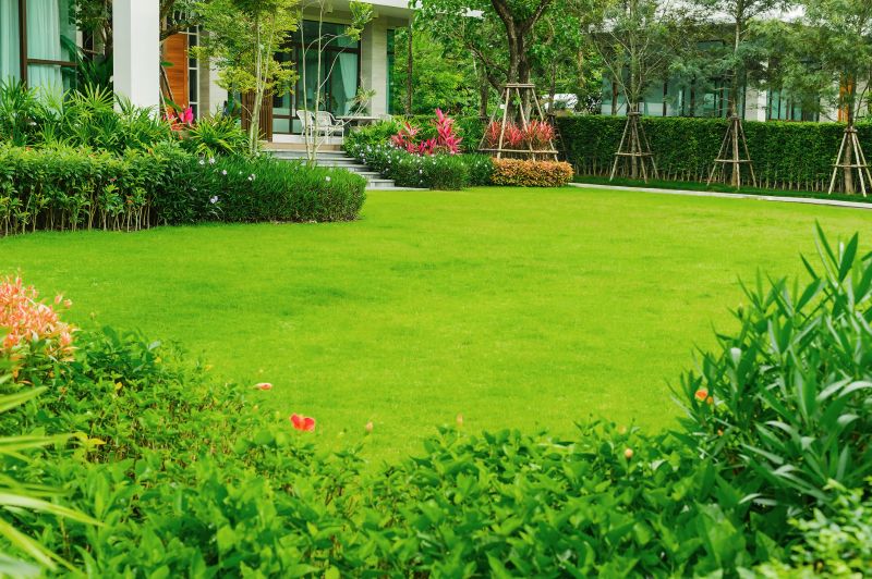 Grass Replacement in Rockwall, TX