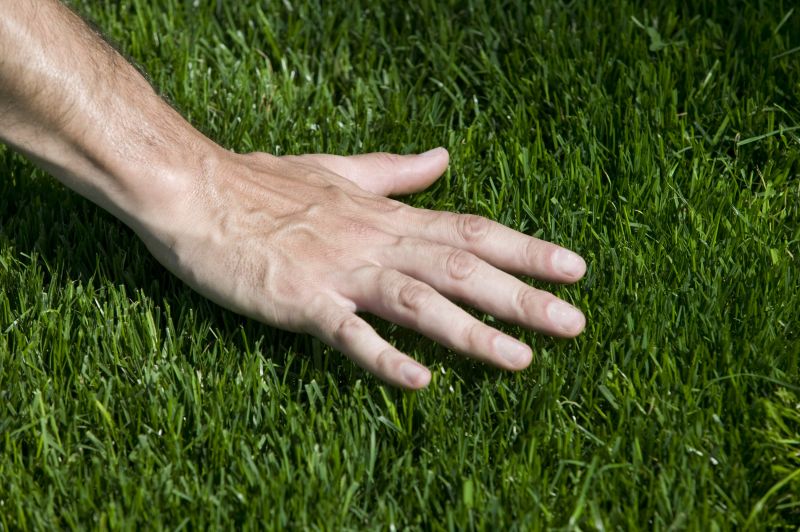 Lawn Installation in Rockwall, TX