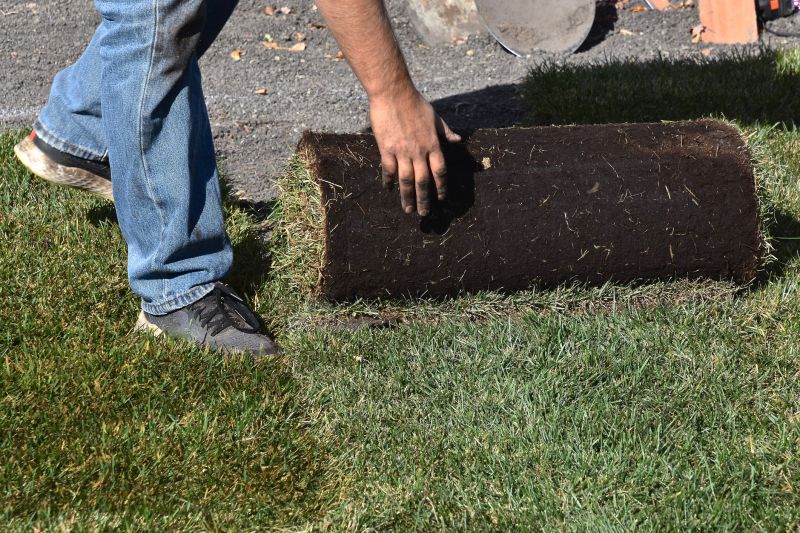 Lawn Replacement in Aiken, SC