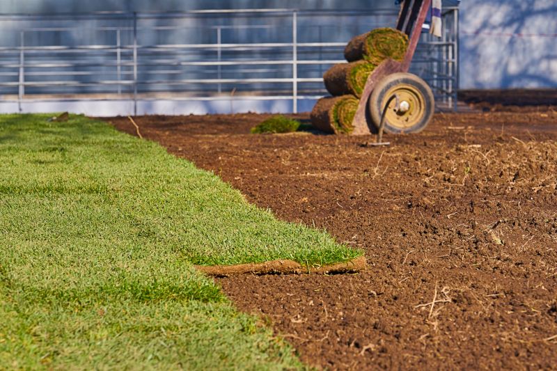 Ryegrass Sod Installation in Honolulu, HI