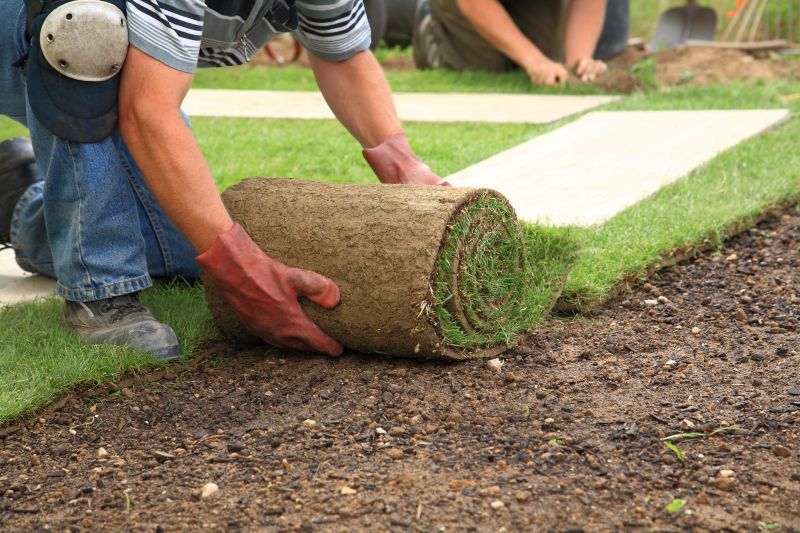 Sod Landscaping in Aiken, SC