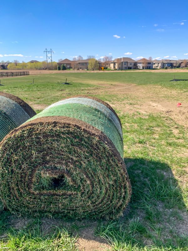 Sod Replacement in Rockwall, TX