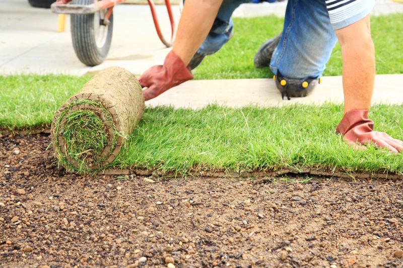 Why Sod Installation Is The Fastest Way To A Green Lawn